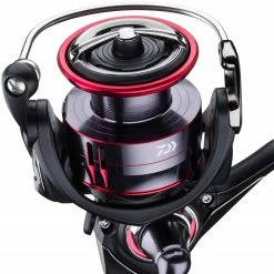 Budget ✔️ Daiwa 17 Fuego LT Reel Reels ⌛ -Daiwa Official Website Daiwa 17 Fuego LT Reel 3