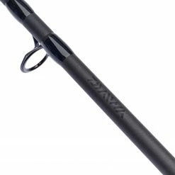 Brand new 🔔 Daiwa Black Widow Twin Tip Rod Rods 👏 -Daiwa Official Website Daiwa Black Widow Twin Tip Rod mid