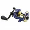 Discount 👏 Daiwa Millionaire 7HT Mag Reel Reels ✔️