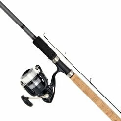 Top 10 π― Daiwa D Match Combo Rod & Reel Combo βοΈ