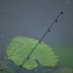 Deals 🧨 Daiwa N'ZON S Pellet Waggler Rods ⭐ -Daiwa Official Website daiwa n zon s pellet waggler rods in use 6