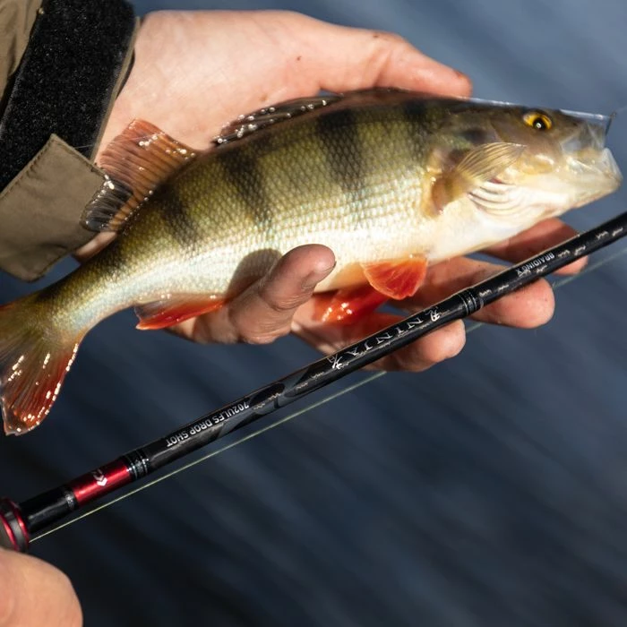 Discount βοΈ Daiwa Ninja Drop Shot Rod Rods π 7 Discount βοΈ Daiwa Ninja Drop Shot Rod Rods π - Image 7