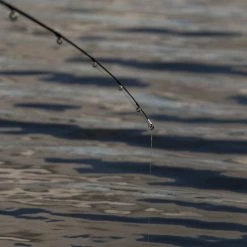 Discount βοΈ Daiwa Ninja Drop Shot Rod Rods π 20 Discount βοΈ Daiwa Ninja Drop Shot Rod Rods π -Daiwa Official Website daiwa ninja drop shot rod lifestyle 5