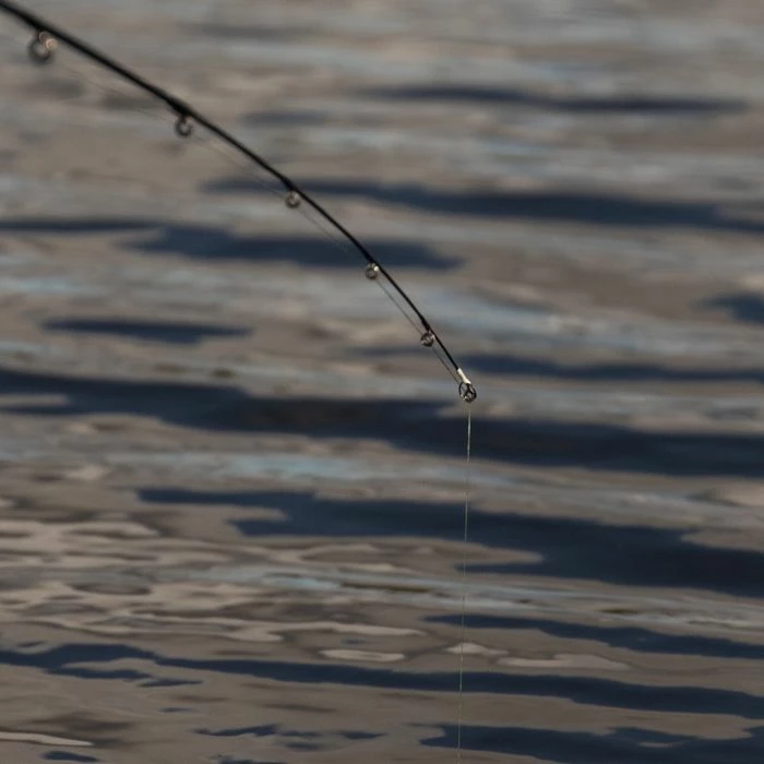 Discount βοΈ Daiwa Ninja Drop Shot Rod Rods π 5 Discount βοΈ Daiwa Ninja Drop Shot Rod Rods π - Image 5