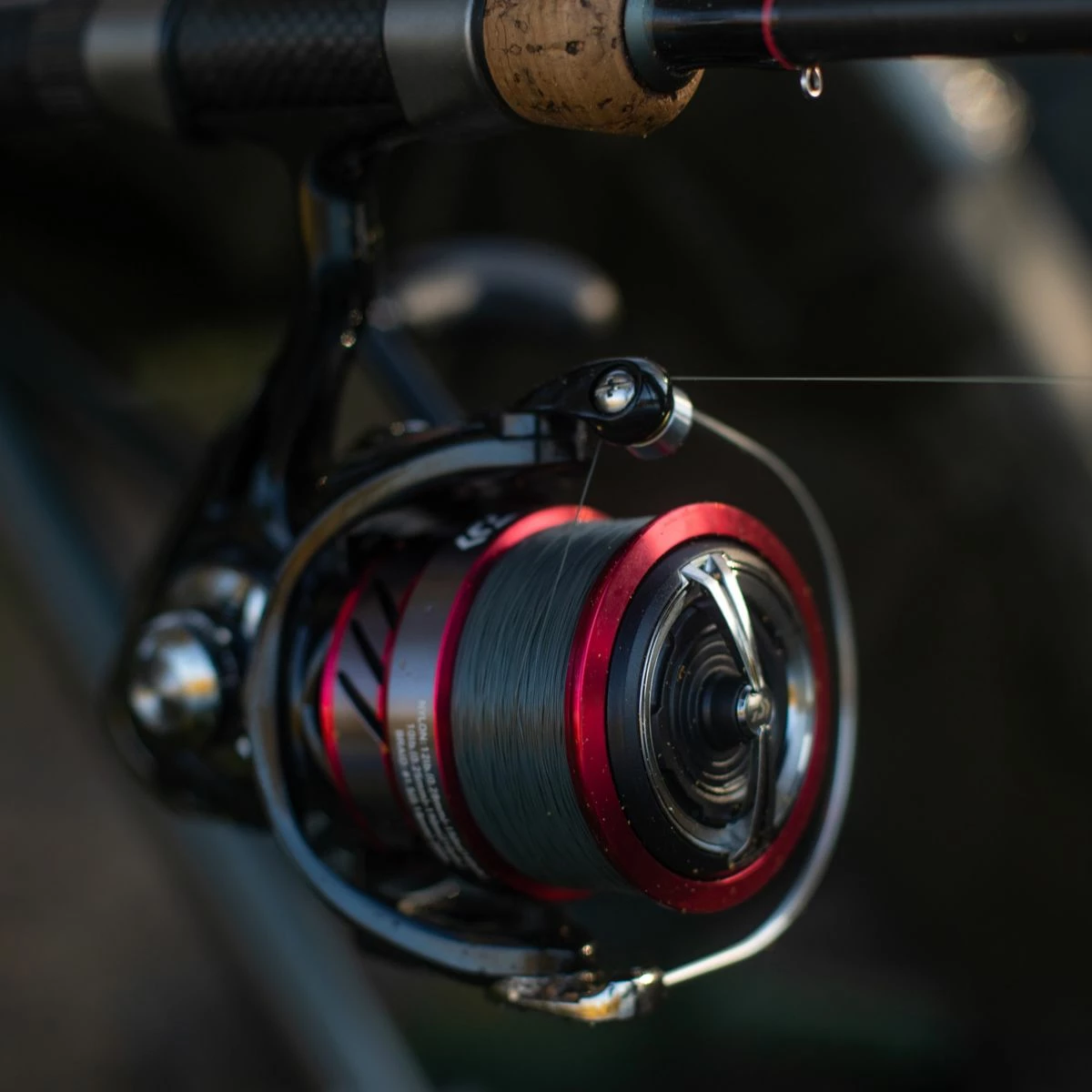 Deals π Daiwa Ninja Match & Feeder LT Reels π 5 Deals π Daiwa Ninja Match & Feeder LT Reels π - Image 5