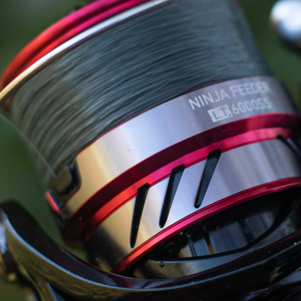 Deals π Daiwa Ninja Match & Feeder LT Reels π 7 Deals π Daiwa Ninja Match & Feeder LT Reels π - Image 7