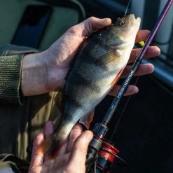 Discount ❤️ Daiwa Powermesh AX Spinning Rod Rods 🌟 -Daiwa Official Website daiwa powermesh ax spinning rod in use 4