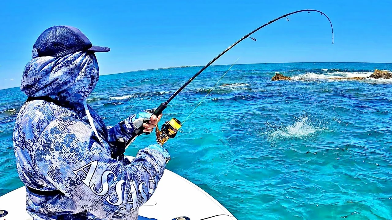 Daiwa Official Website -Daiwa Official Website 5